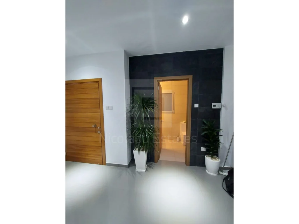 4 Bedroom House for Rent in Palodeia, Limassol District
