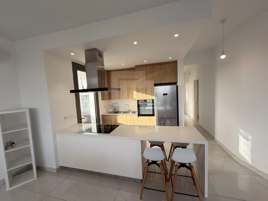 3 Bedroom Apartment for Rent in Nicosia District
