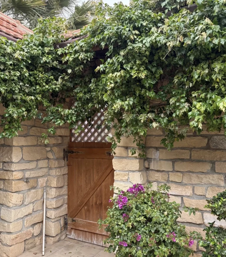 3 Bedroom House for Rent in Maroni, Larnaca District
