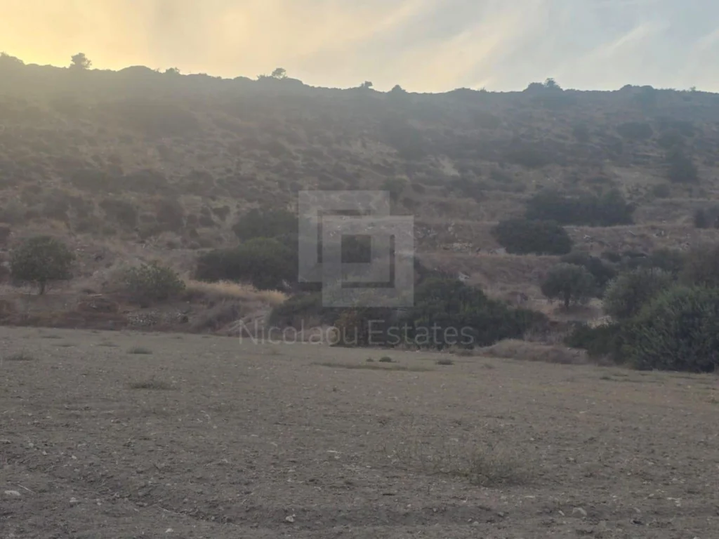 17,005m² Plot for Sale in Limassol – Agios Athanasios