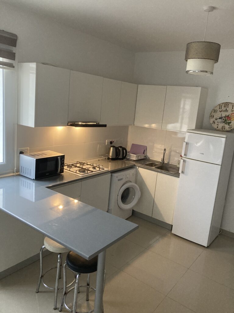 Studio Apartment for Rent in Frenaros, Famagusta District