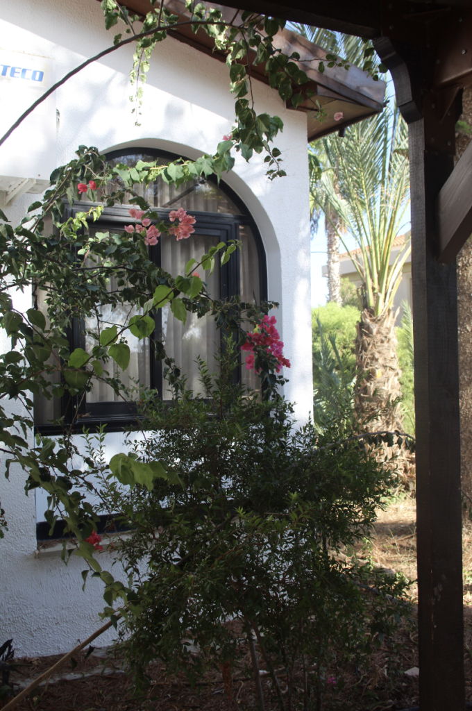 3 Bedroom House for Rent in Limassol – Panthea
