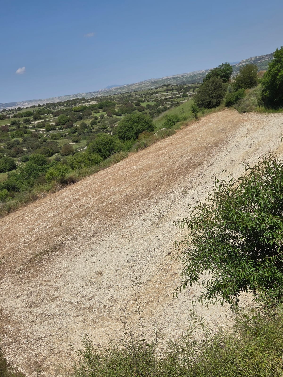 5,686m² Plot for Sale in Dora, Limassol District
