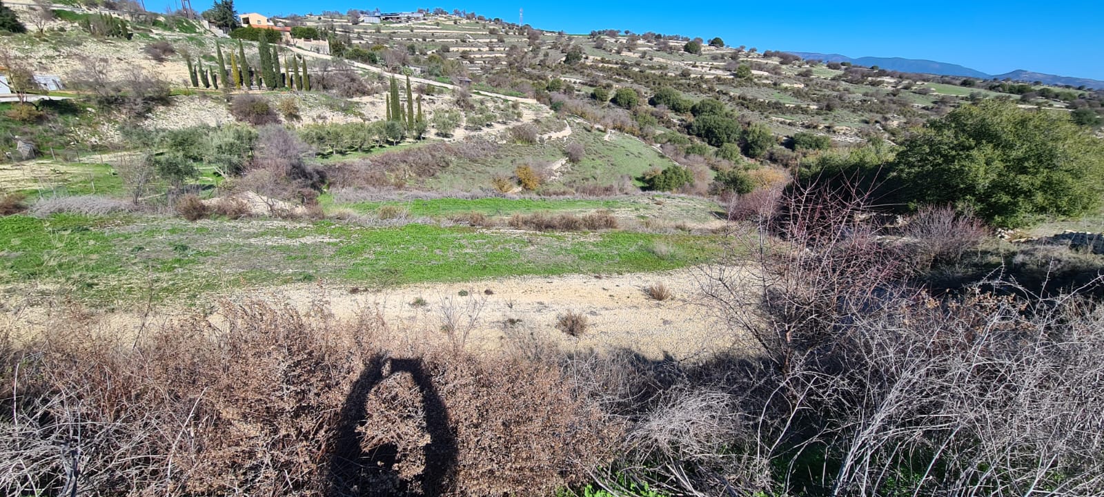 5,686m² Plot for Sale in Dora, Limassol District