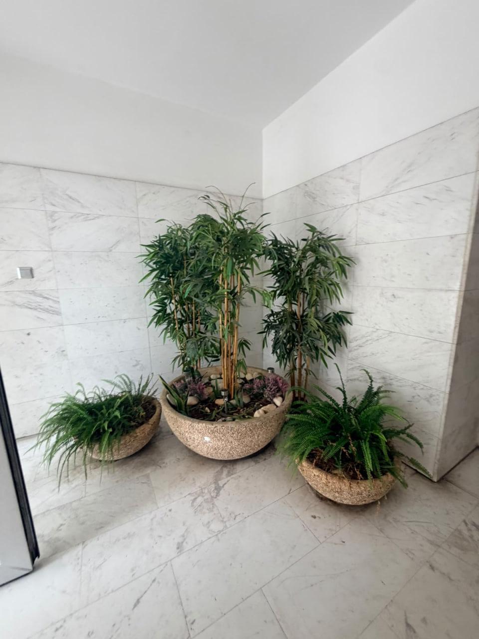 for Rent in Limassol – Agia Zoni