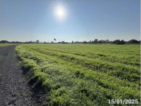 Land / Plot in Paralimni, Famagusta