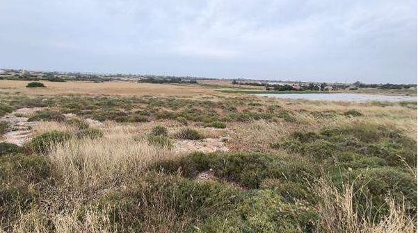 Land / Plot in Avgorou, Famagusta