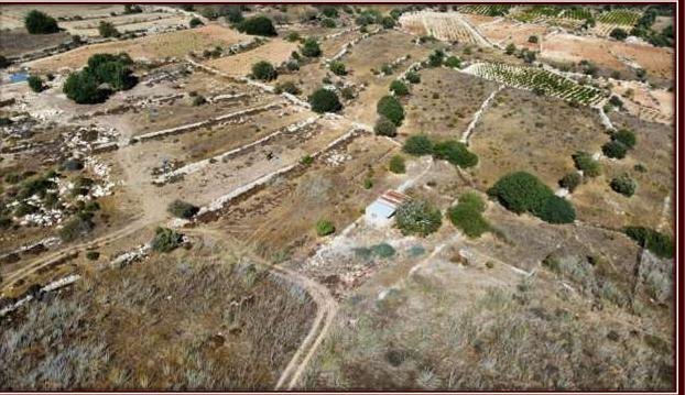 Land / Plot in Pachna, Limassol