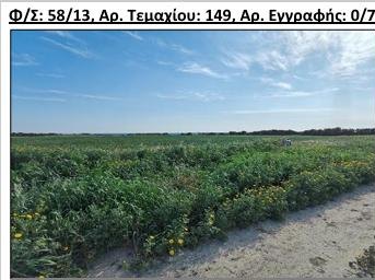 Land / Plot in Episkopi, Limassol