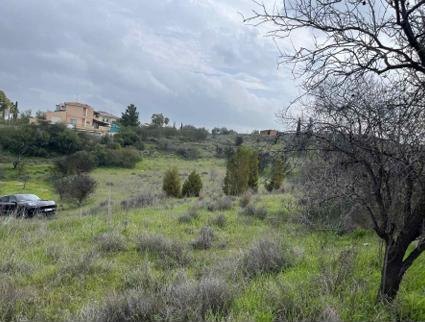 Land / Plot in Dali, Nicosia