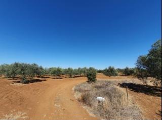 Land / Plot in Klirou, Nicosia