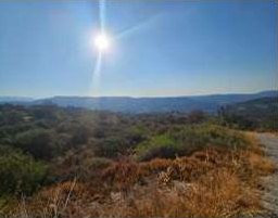 Land / Plot in Mesana, Paphos