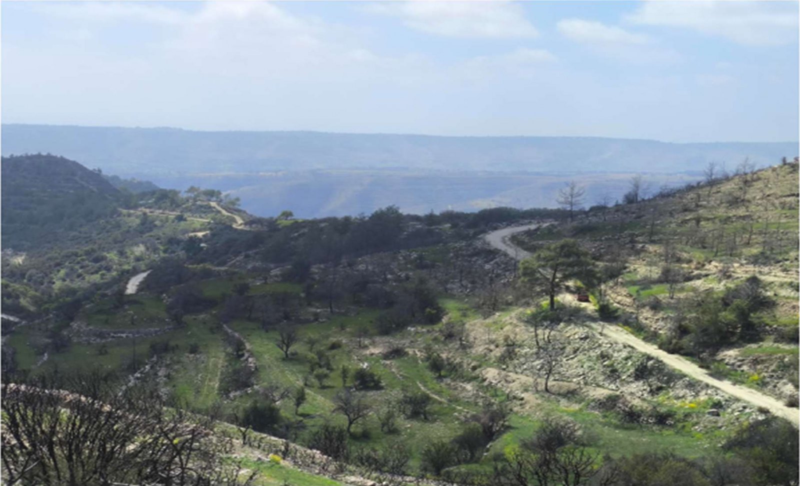 Land / Plot in Lania, Limassol