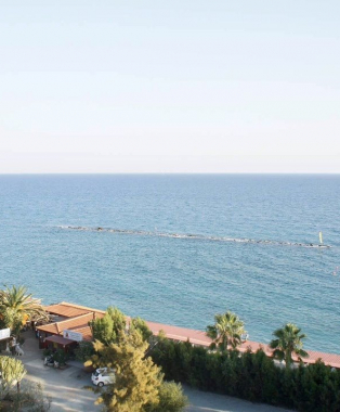 Coco De Mer